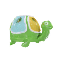 Turtle head inside